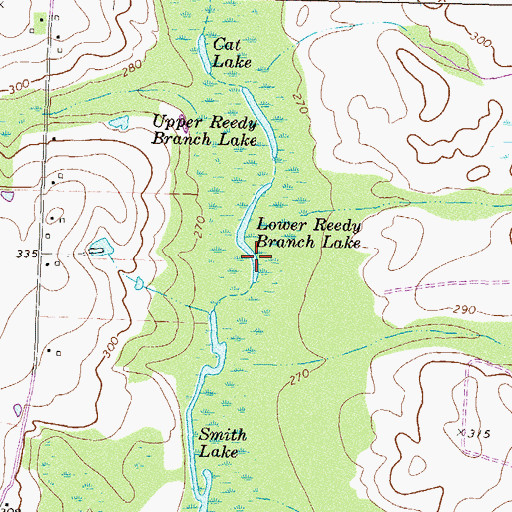 Topographic Map of Lower Reedy Branch Lake, GA
