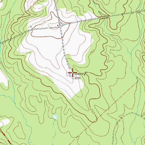 Topographic Map of Lowery Cemetery, GA