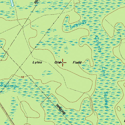 Topographic Map of Lyles Old Field, GA