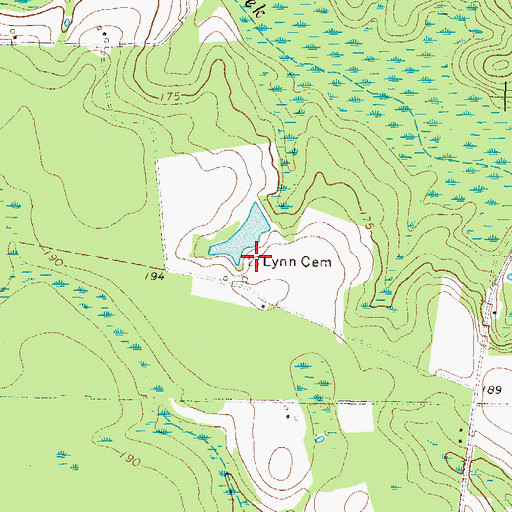 Topographic Map of Lynn Cemetery, GA