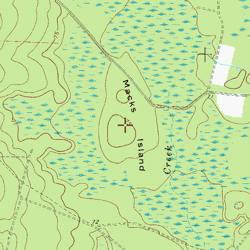 Topographic Map of Macks Island, GA