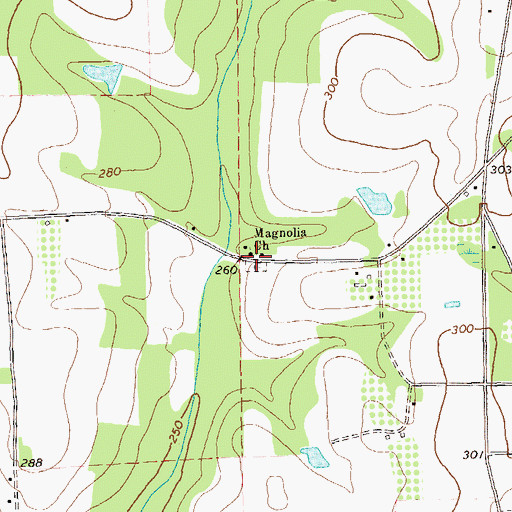 Topographic Map of Magnolia Church, GA