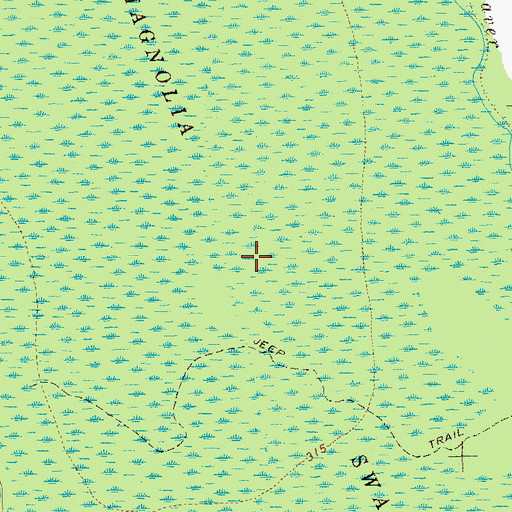 Topographic Map of Magnolia Swamp, GA