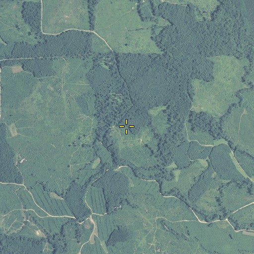 Aerial/Satellite Image of Magnolia Swamp, GA