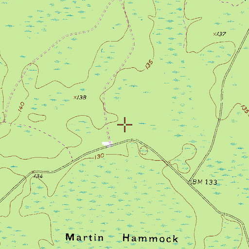 Topographic Map of Martin Hammock, GA