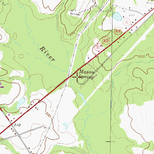 Topographic Map of Mason Spring, GA