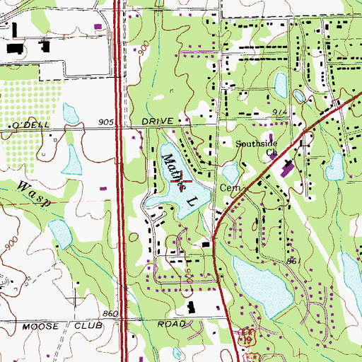 Topographic Map of Mathis Lake, GA