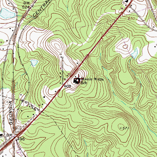 Topographic Map of Mattie Wells Elementary School, GA