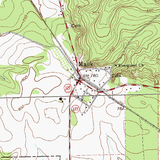 Topographic Map of Mauk, GA