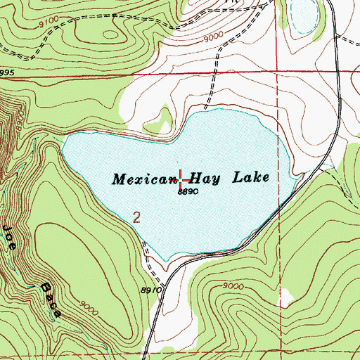 Topographic Map of Mexican Hay Lake, AZ
