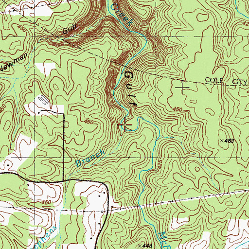 Topographic Map of McBriar Branch, GA