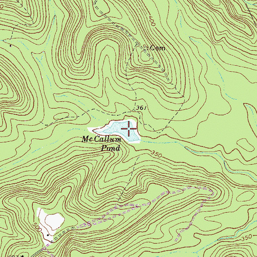 Topographic Map of McCallum Pond, GA