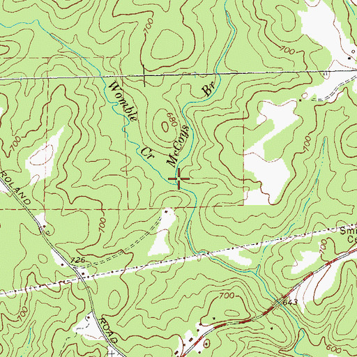 Topographic Map of McCoys Branch, GA