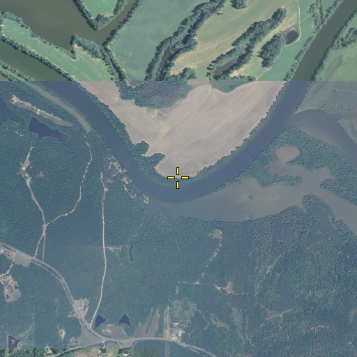Aerial/Satellite Image of McGee Bend, GA