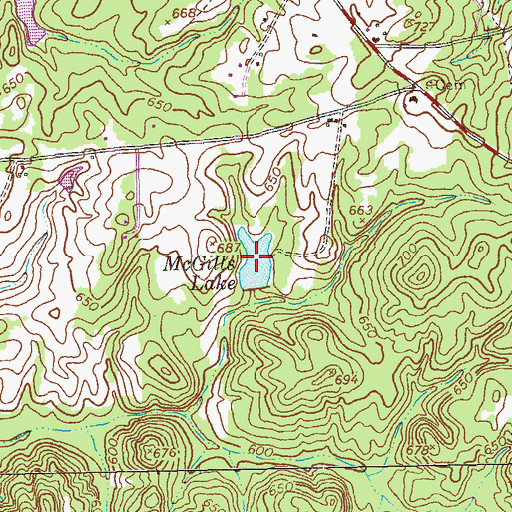 Topographic Map of McGills Lake, GA