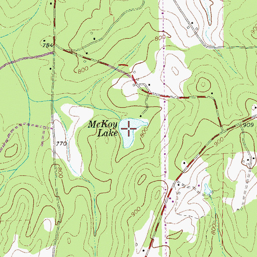 Topographic Map of McKay Lake, GA