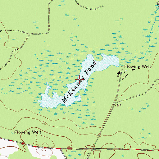 Topographic Map of McKinney Pond, GA