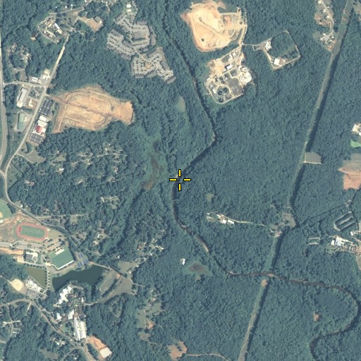 Aerial/Satellite Image of McNutt Creek, GA