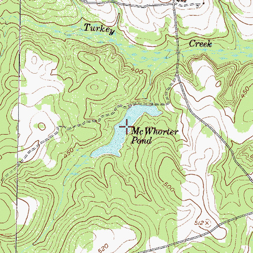 Topographic Map of McWhorter Pond, GA