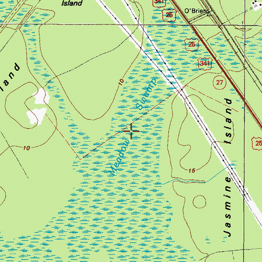 Topographic Map of Meadow Swamp, GA