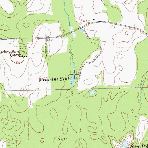 Topographic Map of Medicine Sink, GA