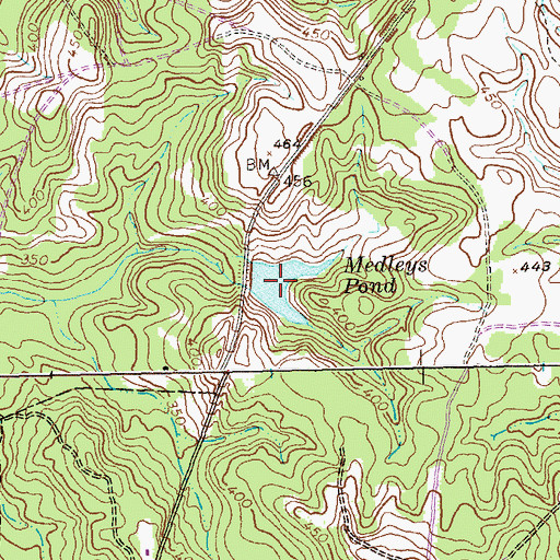 Topographic Map of Medleys Pond, GA
