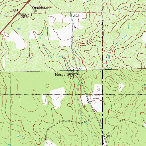 Topographic Map of Mercy Seat Church, GA