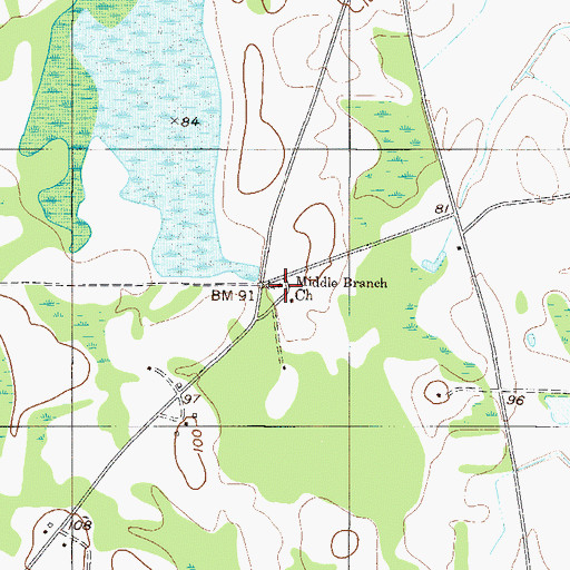 Topographic Map of Middle Branch Church, GA