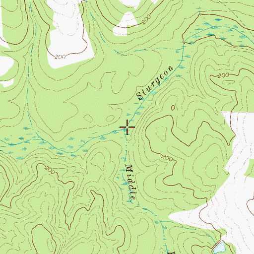 Topographic Map of Middle Prong Sturgeon Creek, GA