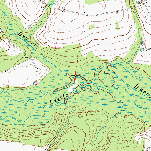 Topographic Map of Mill Branch, GA