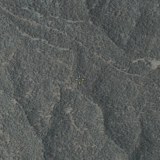 Aerial/Satellite Image of Middle Prong Spring, AZ