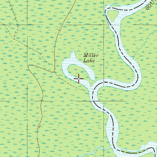 Topographic Map of Miller Lake, GA