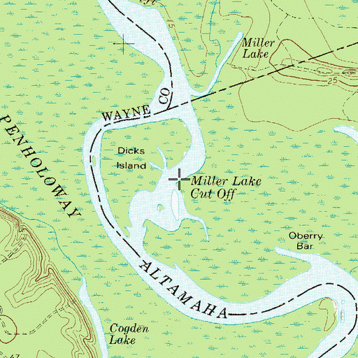 Topographic Map of Miller Lake Cut Off, GA