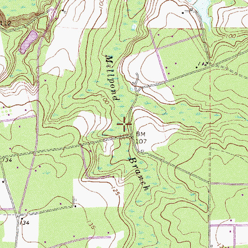 Topographic Map of Millpond Branch, GA