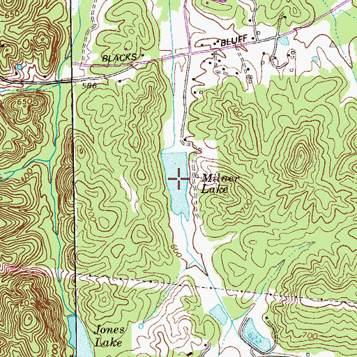 Topographic Map of Milner Lake, GA