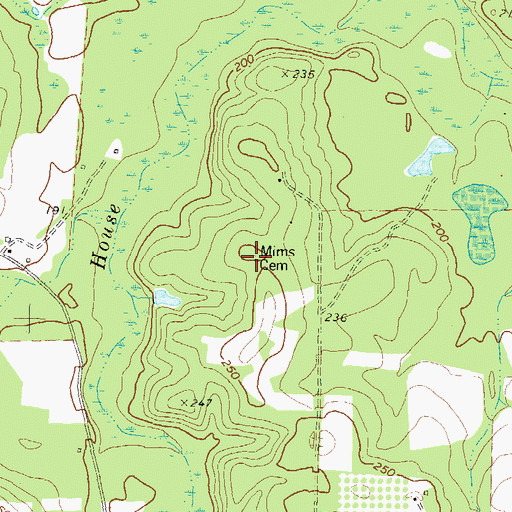 Topographic Map of Mims Cemetery, GA