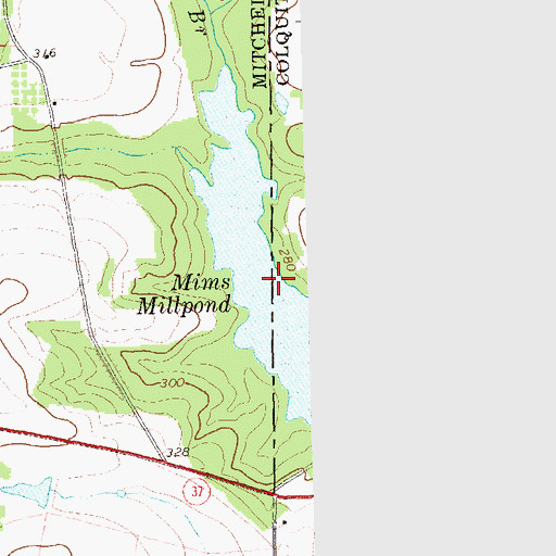 Topographic Map of Mims Millpond, GA