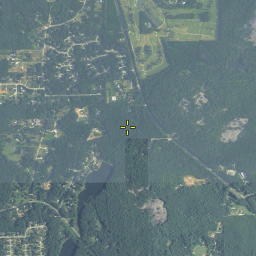 Aerial/Satellite Image of Mitchell Branch, GA