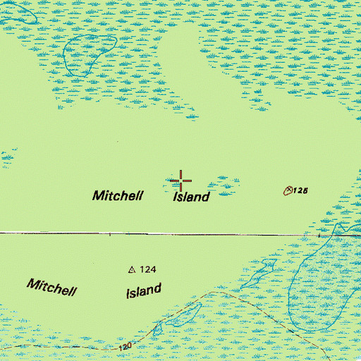 Topographic Map of Mitchell Island, GA