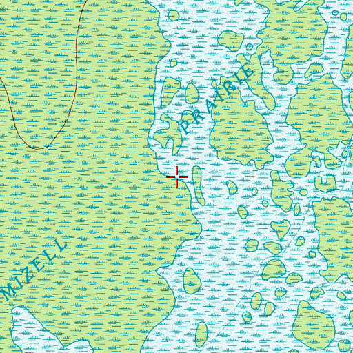 Topographic Map of Mizell Prairie, GA