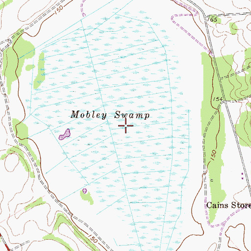 Topographic Map of Mobley Swamp, GA