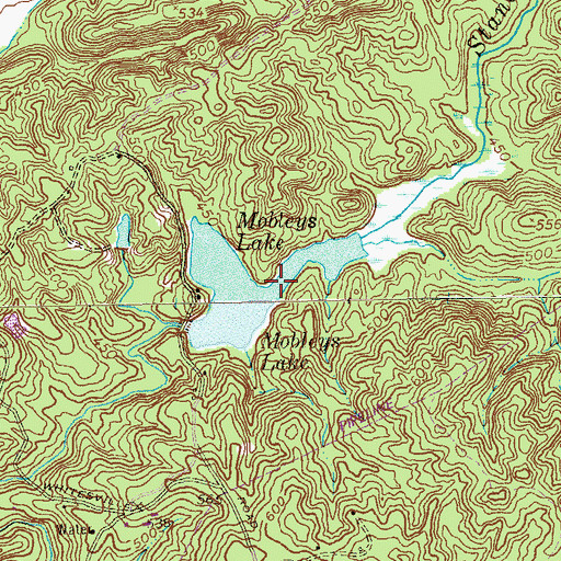 Topographic Map of Mobleys Lake, GA