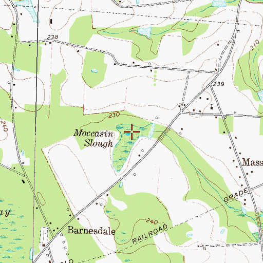 Topographic Map of Moccasin Slough, GA