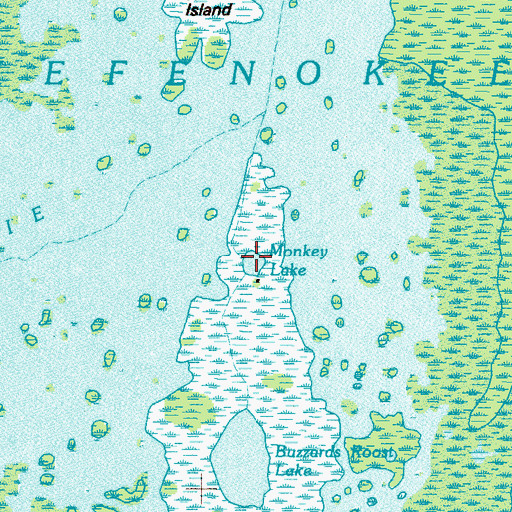 Topographic Map of Monkey Lake, GA