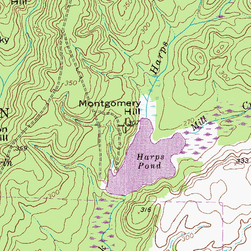 Topographic Map of Montgomery Hill, GA