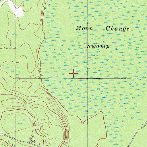 Topographic Map of Moon Change Swamp, GA