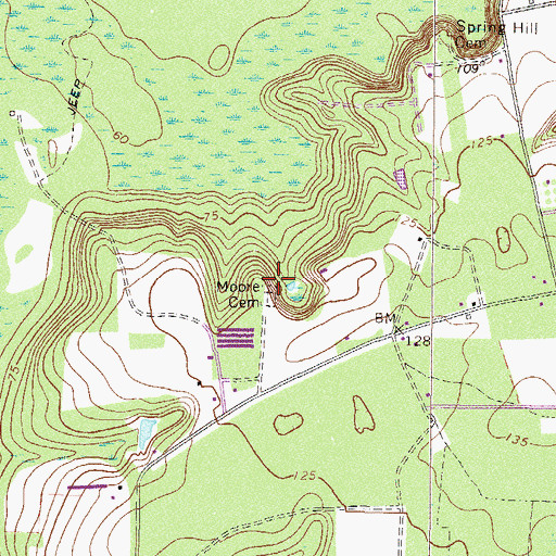 Topographic Map of Moore Cemetery, GA