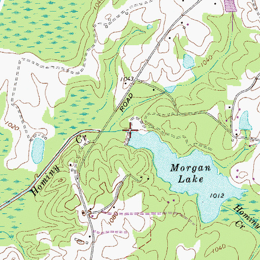 Topographic Map of Morgan Lake, GA