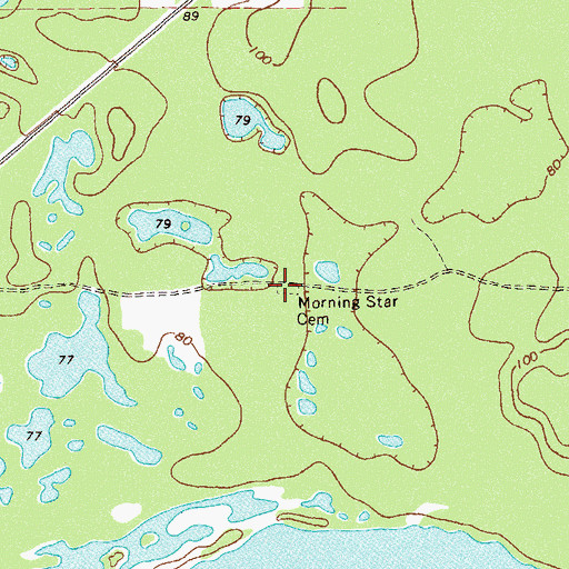 Topographic Map of Morning Star Cemetery, GA
