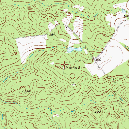 Topographic Map of Morris Cemetery, GA